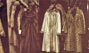 History in the details:Fur (Part 1)