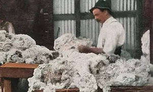 History in the details: Materials - Wool (part 7)
