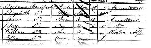 The Boniface family in the 1851 Census
