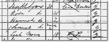 The Lyons family in the 1861 Census