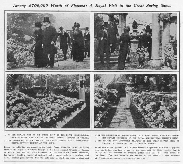 Queen Alexandra visits the Great Spring Show (The Illustrated London News at TheGenealogist.co.uk)