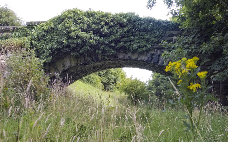 Abandoned railway cutting in Otley
