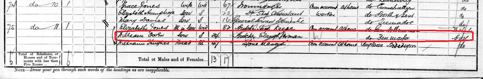 1901 census for 11 Bank Place, Tremadoc - William Owen, 24, a Butcher Slaughterman.
