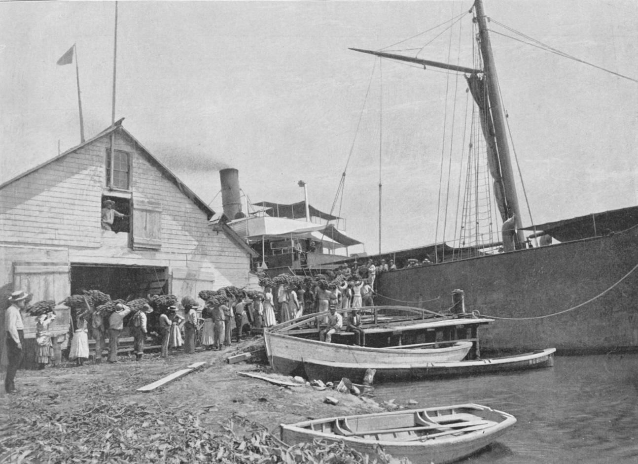 Loading Bananas in Jamaica from the Image Archive on TheGenealogist