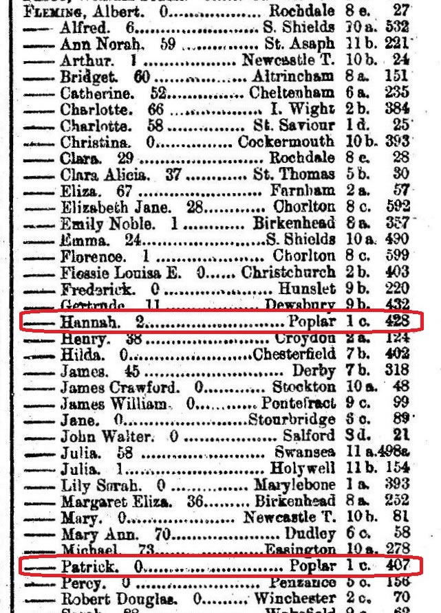 Death Indexes for the two youngest siblings of Mary Fleming 1895
