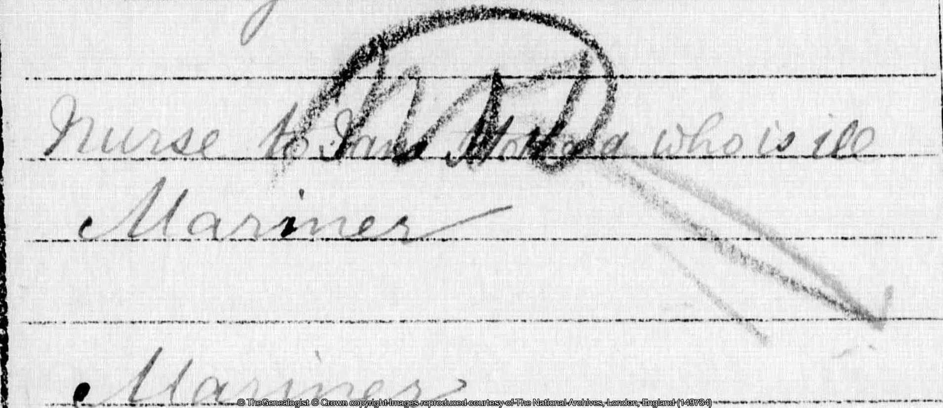 Detail from 1871 census of Goole, Yorkshire