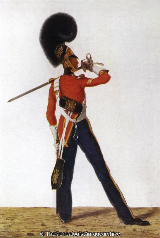 A Corporal 5th Dragoon Guards 1830 (1830, 5th Regiment, Corporal, Dragoon Guards)