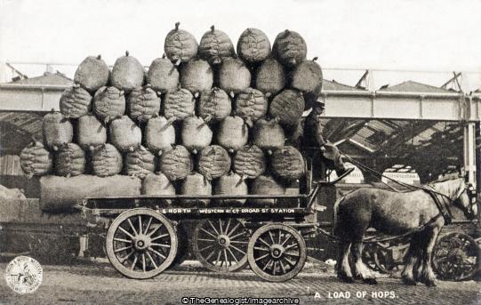 A load of hops (Broad Street Station, Hops, horse and cart, London & North Western Railway)