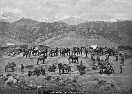 A Mountain Battery in Northern India (1897, Donkey, Foothills, Gun, Himalayas, Horse, India, Native Mountain Battery, Weapon)