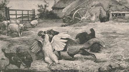 A Return Visit (Alfred William Strutt, chicken, Farm, Fox, Painting)