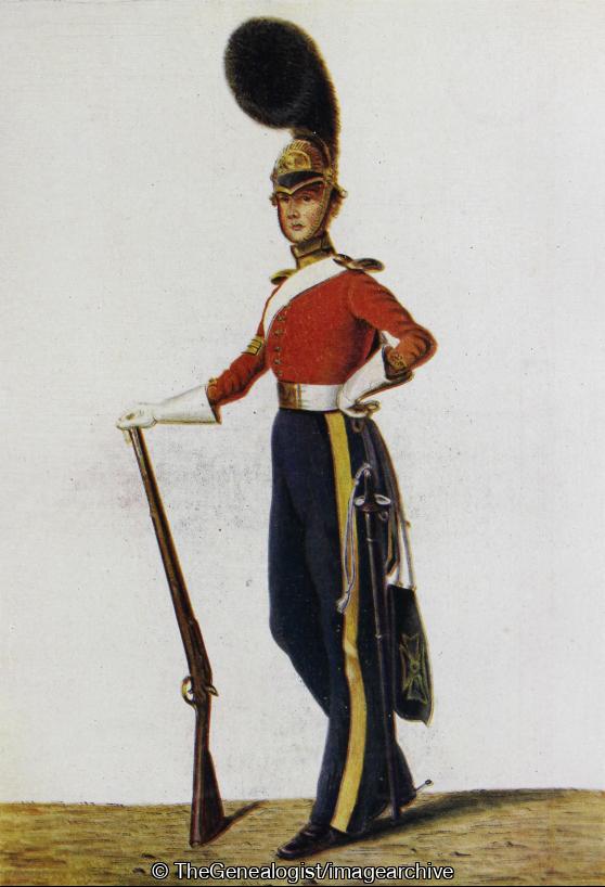 A Sergeant 5th Dragoon Guards 1830 (1830, 5th Regiment, Dragoon Guards, Sergeant)