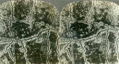 Airplane View of Trenches and Shell Holes (Aerial Reconnaissance, C1917, No Man's Land, Shell Hole, Trench, WW1)