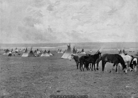 An Indian Camp Canada (Alberta, Blackfoot, Canada, First Nations, Horse, Tipi)