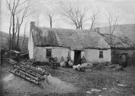 An Irish Farm in County Donegal (Donegal, Farm, Farmer, Ireland, Pig, Spinner, Spinning Wheel, Thatched Cottage)