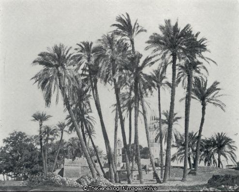 Arabian Village on the Banks of the Nile (Egypt, Jahangir's Tomb, Lahore)