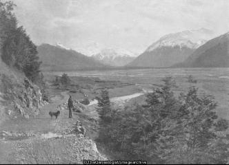 Bealey New Zealand (Arthur's Pass, Bealey, Bealey River, Dog, Mountain, New Zealand, Rolleston Range, Valley)