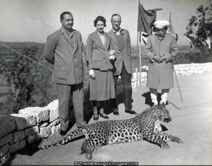 Big Game Leopard (India, Leopard, Safari)