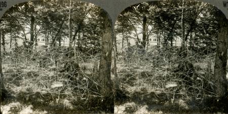 Building Barbed Wire Entanglements Reserve Officers in Training camp Fort Sheridan Illinois (3d, Barbed Wire, C1917, Fort Sheridan, Illinois, U.S.A., WW1)