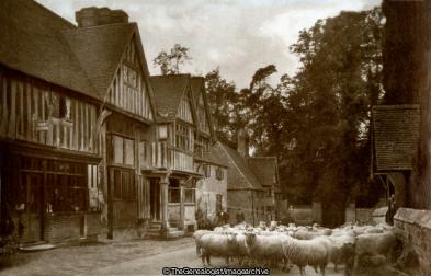 Chiddingstone (Chiddingstone, Chiddingstone Road, England, Kent, Lychgate, Sheep)