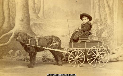 Child in dog cart (Child, Dog Cart)