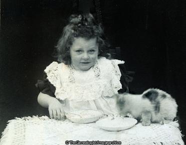 Child with kitten eating (Child, eating, Kitten, Roy)