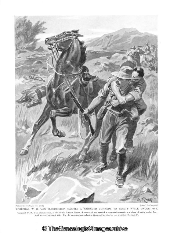 Corporal W R Van Blommestein carries a wounded comrade to safety while under fire (Corporal, Corporal W R Van Blommestein, DCM, South African Horse, WW1)