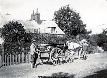 Dairyman with Horse and Cart (boater, boy, C1900, Dairyman, Horse amd Cart, horse and cart)