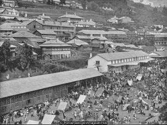 Darjeeling Market (Darjeeling, Hill Station, Himalayas, India, Market, West Bengal)
