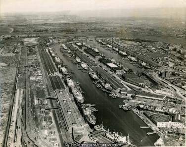 Dock Strike 13th July 1949 35 ships idle in London Albert Dock (Albert Dock, London, Pool of London, Royal Albert Dock, Thames)