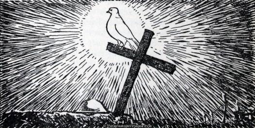 Dove on grave (16th Battalion, Cross, Dove, Drawing, Highland Light Infantry, WW1)