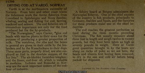 Drying Cod at Vardo, Norway (3d, Drying Cod, Norway, Vardo)