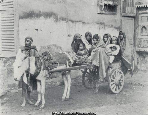 Family Conveyance in Cairo (Cairo, Donkey, Egypt, Wagon)