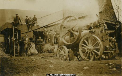 Farm Workers Threshing using Steam Engine (C1900, Farm, Farmer, Farmyard, steam engine, Threshing, Threshing Machine)