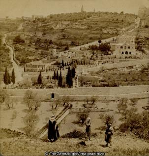 Garden of Gethsemane and Mount of Olives from the Eastern Wall Jerusalem Palestine (3d, Eastern Wall, Garden of Gethsemane, Jerusalem, Mount of Olives, Palestine)