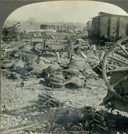 German Ammunition Depot after visit of French Airmen Alincourt Ardenne France (1918, 3d, Alincourt, Ammunition Dump, Argonne, Bomb, Cart, France, Horse, Railway Track, WW1)
