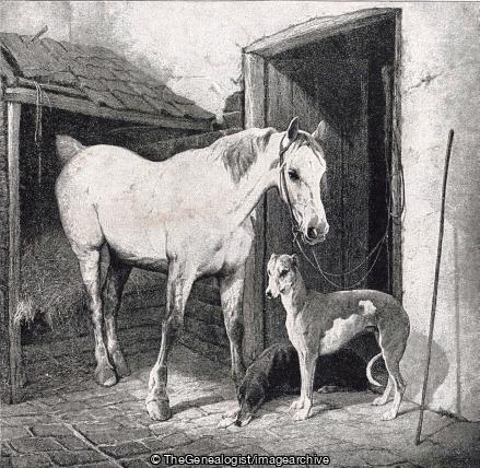 Grey Hack and Grey Hound (Dog, Edwin Douglas, Horse, Painting)