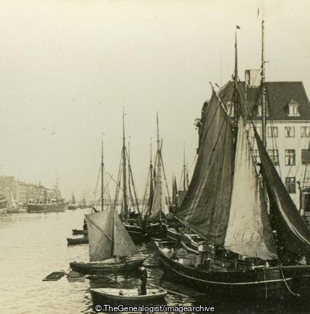 Harbour of Copenhagen, Metropolis of Denmark (3d, Copenhagen, Denmark, Harbour)