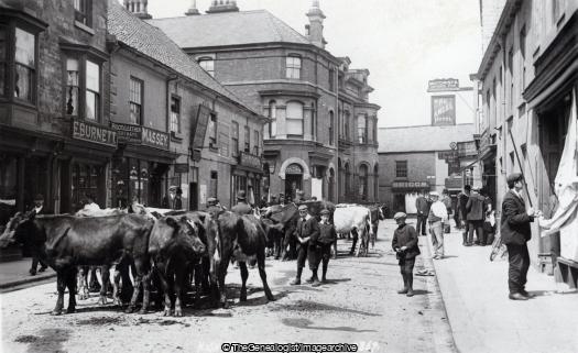 High St Wetherby Market Day C1910 (Bulls, C1905, Cattle Market, England, High Street, Market, Wetherby, Yorkshire)