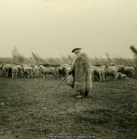 Hungarian Shepherd and His Flock on the Hortobagy Plain Hungary (3d, Hortobágy, Hortobagy Plain, Hungary, Sheep, Shepard)