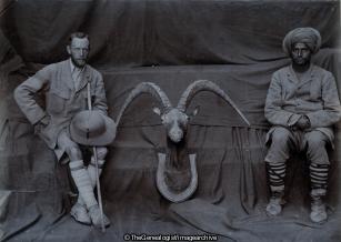 Ibex Head (1908, Baltistan, Charles Earbery Bond, Ibex, India, Kashmir, Pakistan)