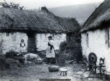 Irish Homestead (Farm, Ireland, Pig, Spinning Wheel)