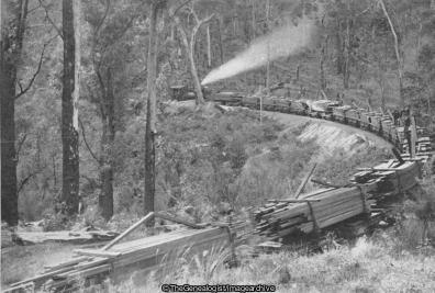 Jarrah Wood in Western Australia (Australia, Jarrah Wood, Railway, steam engine)