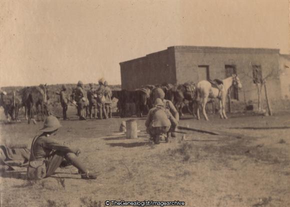 Krondam (Boer War, C1900, Horse, Krondam, Royal Sussex, South Africa)