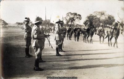Military Parade (India, Military Parade, Mountain Battery, Mule, Officers, Series)