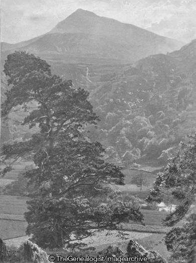 Moel Siabod from Capel Curig (Capel Curig, Forest, Moel Siabod, Wales)