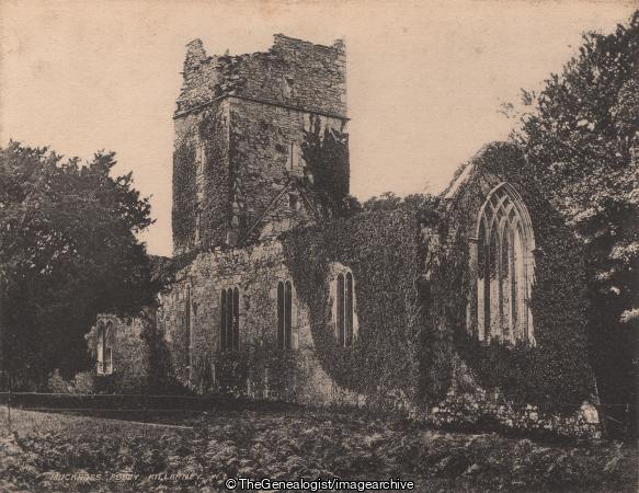 Muckross Abbey Killarney (1905, Abbey, C1900, Ireland, Kerry, Killarney, Muckross, Muckross Abbey, Ruins)