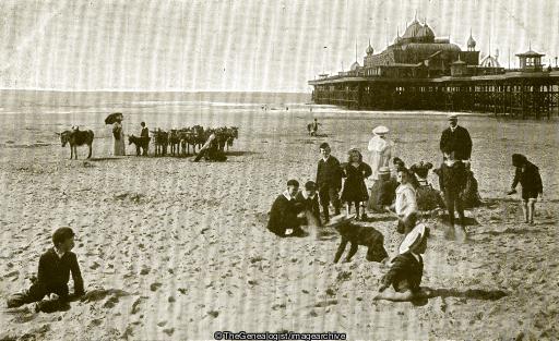On Blackpool Sands (Beach, Blackpool, Donkey, England, Lancashire, Pier)