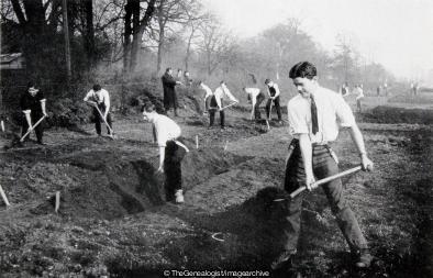 Preparing for Potato Planting a Part of the Wycliffe Co-operative Estate (England, Gloucestershire, Potato, potato Growers, Stonehouse, WW1, Wycliffe College)