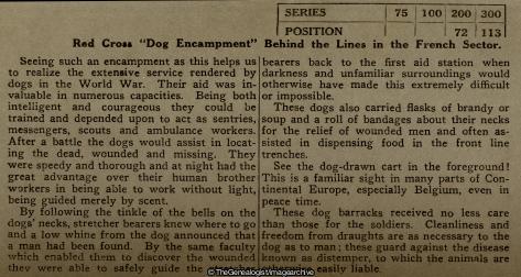 Red Cross Dog Encampment Behind the Lines in the French Sector (3d, C1917, Dog Cart, Kennel, Red Cross, Red Cross Dog, Series, WW1)