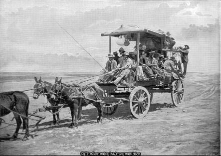 Returing from the Goldfields South Africa (Gold Miner, Mule, South Africa, Wagon)